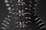 Geisterspikes überall!